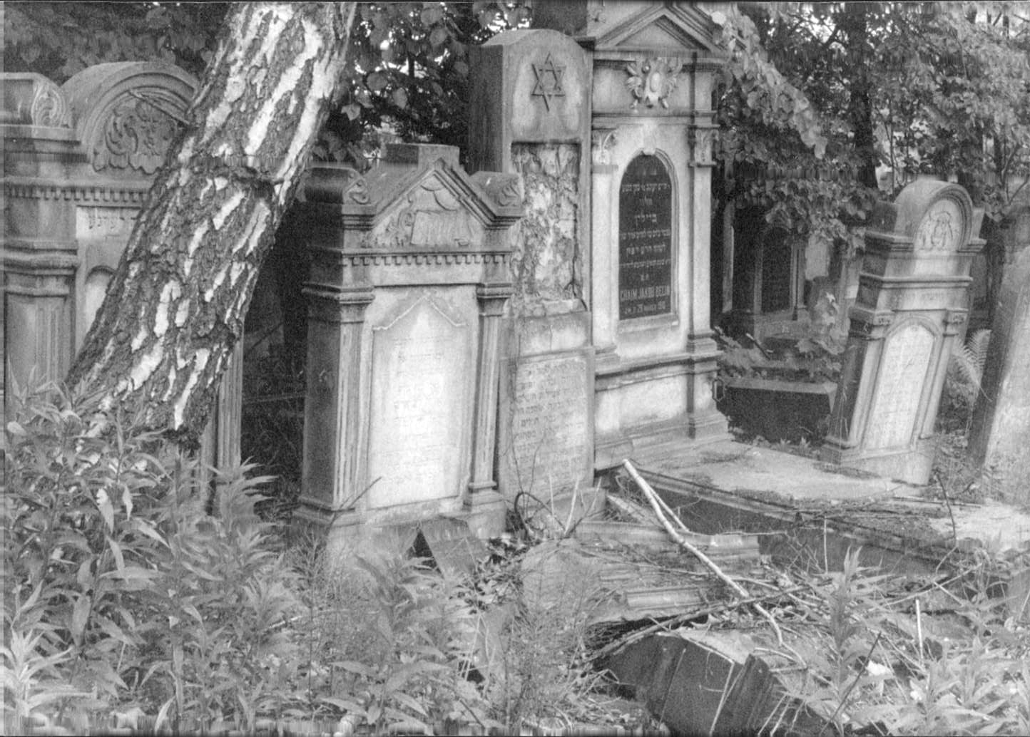 Jewish Cemetery, Łódź, 1990